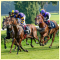 Horse Racing East Anglia Race Nights Video Horse Racing